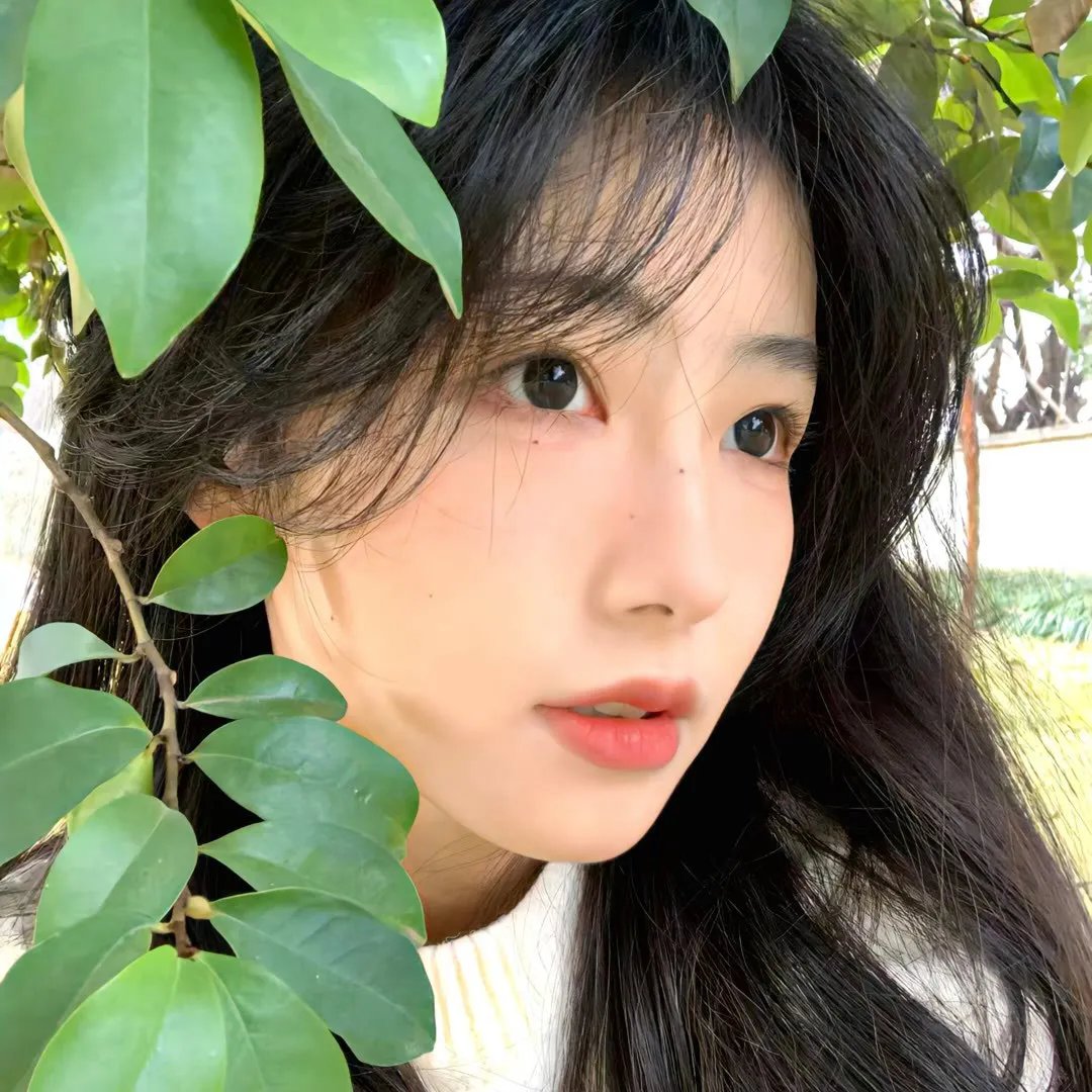 邪教档案之末日风暴